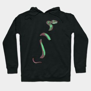 snek 4 Hoodie